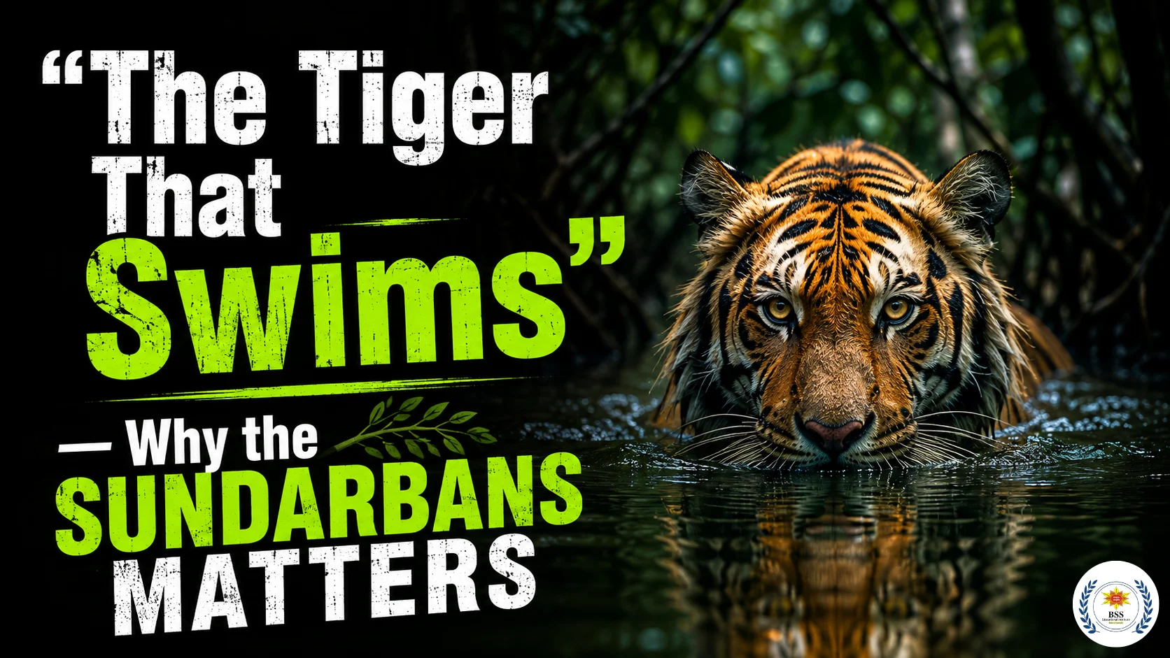 Why Is the Sundarbans Important? 7 Reasons This Mangrove Forest Matters